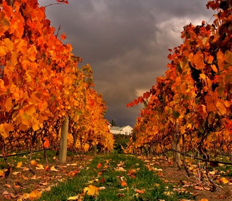 轰炸手机号软件